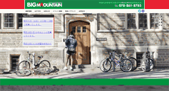 Desktop Screenshot of bigmountain-store.com